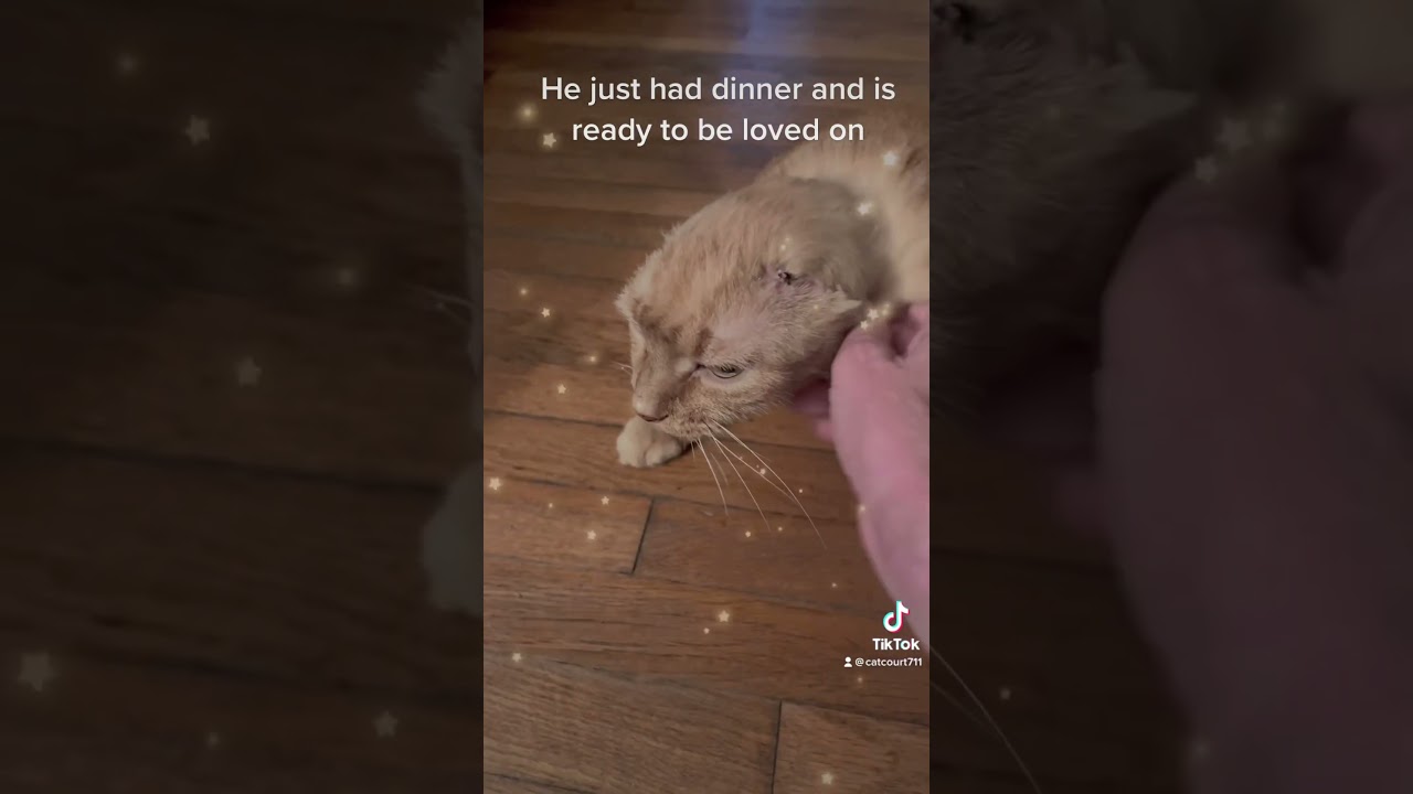 The most affectionate guy!  He’s feeling great! 