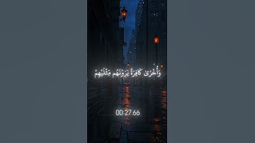 تلاوة هادئة تريح القلب 🤍🎧
