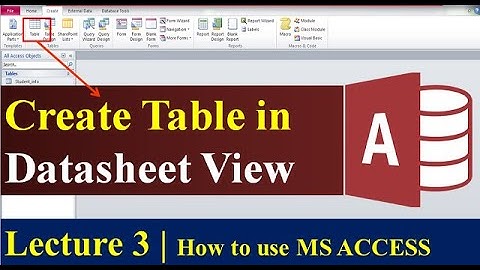 Lecture 3 | How to Create Table By Using Datasheet View in MS ACCESS | Learning Spot