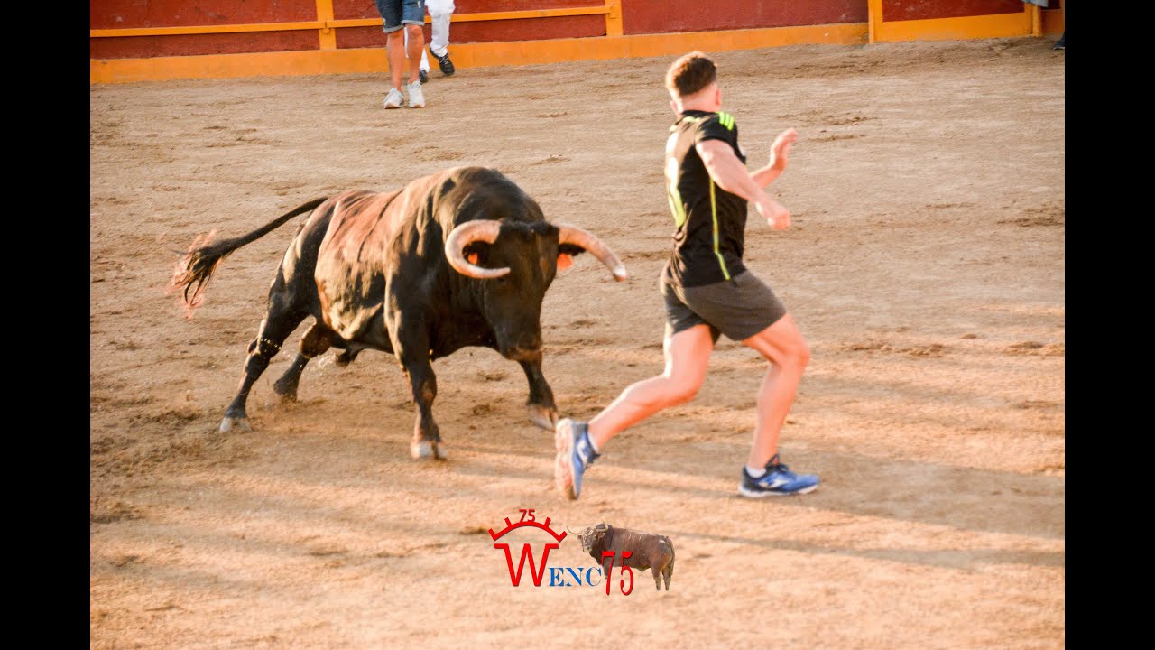 TORO DE CAJON ALAMEDA DE LA SAGRA  2022