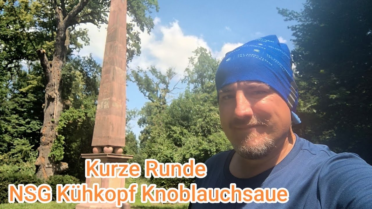 NSG Kühkopf-Knoblochsaue auf 16 km  – Natur pur im hessischen Ried