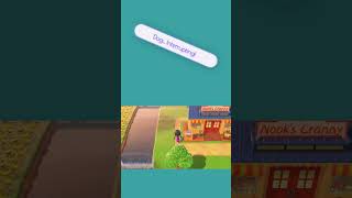 Dog Interrupting my recording! #acnh #dog #attention #pickme #feedme #dogmom #life #gaming #gameplay