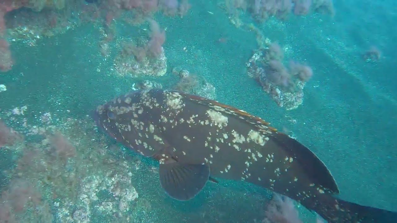 El Desierto, La Restinga