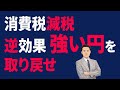 消費税減税は逆効果！強い円を取り戻せ