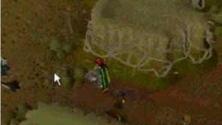 Runescape vs Flyff