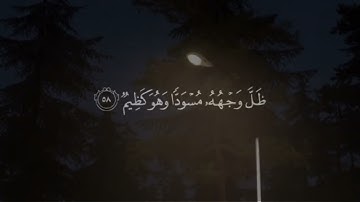 القرآن الكريم غذاء الروح ❤️🥀