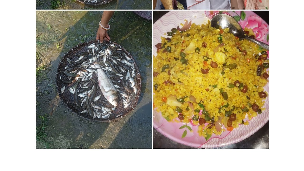 Eman mass dhorilu ajji ,🐟🐠😲😲 higra mase hani jor uthai dile 😭😭😭