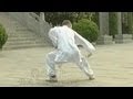 Shaolin Kung Fu: 7-star form