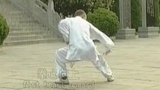 Shaolin Kung Fu Counterattack Strategy – QiXing Quan (Big Dipper Form) | Wang Zhan Yang