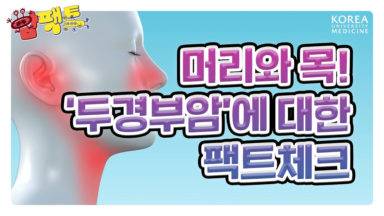 머리와 목에 생기는 암👤 쉰 목소리가 증상일 수도 있다?? | 두경부암에 대한 팩트체크! [암팩트🍄]