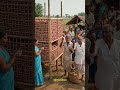 😱 बिना बिजली प्याज महीनों तक ताज़ा! | Bamboo Onion Storage Desi Jugaad 🧅#shorts #desijugaad #farming