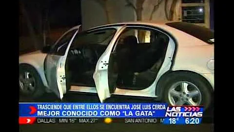 Levantan A Jose Luis Cerda Melendez "La Gata" Anim...
