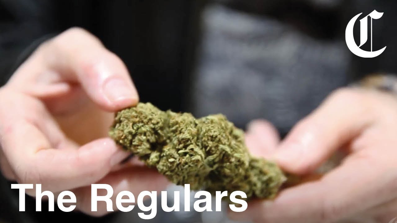 Godmother of Ganja: The Advocate of Medical Marijuana | The Regulars