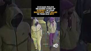 Chicago Loop Shooting Video Shows Suspect That Killed Armani Floyd