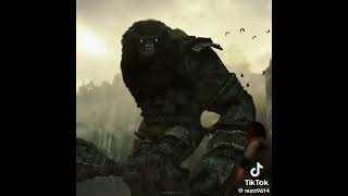 Shadow of Colossus edit Tell em