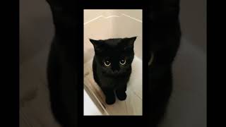 tiba tiba lagu aku hilang jadian aku cari lagu lain😟