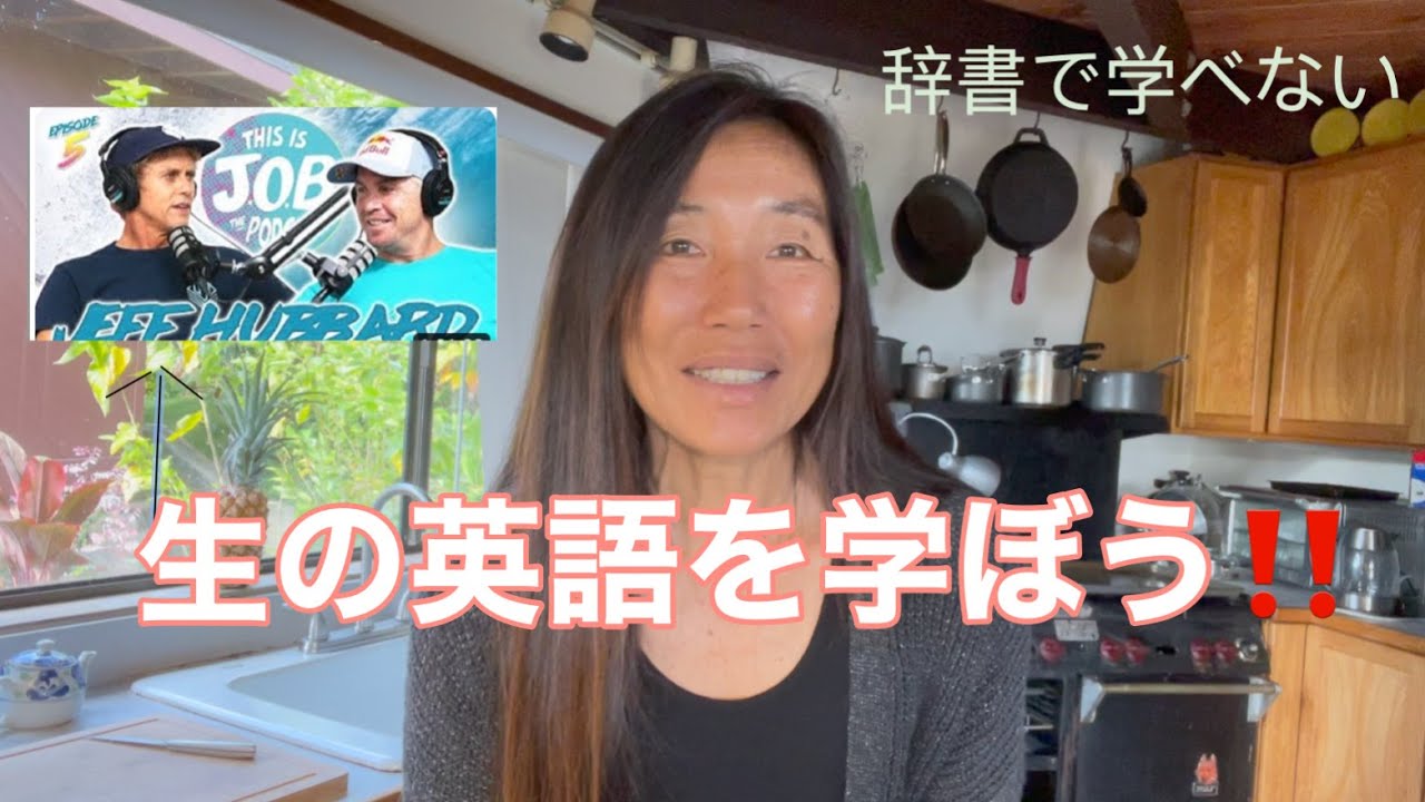 ハッピー英会話レッスン311ネイティブ英語を理解しよう！