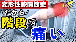 【変形性膝関節症】9割の患者さんが知らない、階段で膝が痛くなってしまう理由(理学療法士が解説)