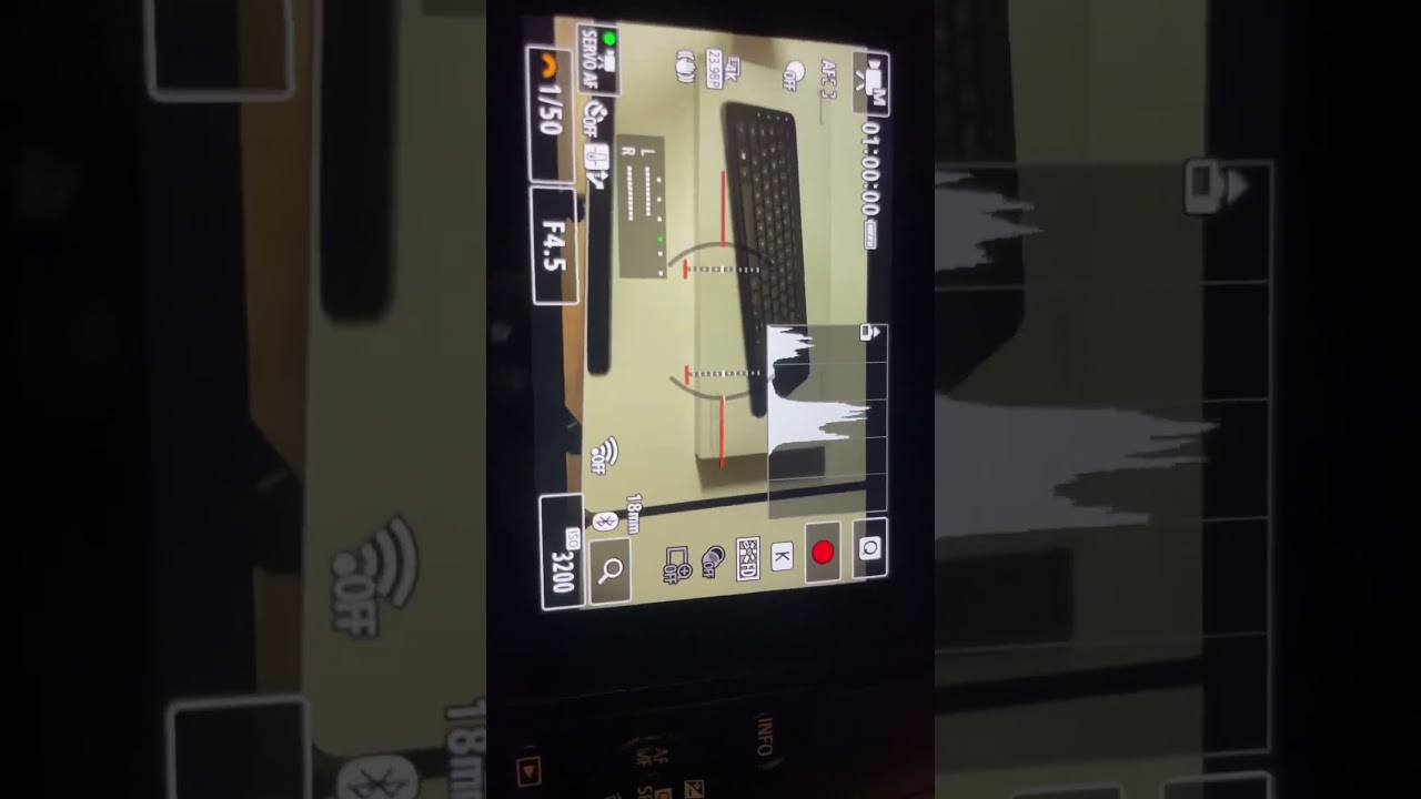 Canon r50 in Camera Stabilization Video Sample