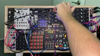 Famous Patch from scratch Profile