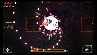 Enter the Gungeon lower case r