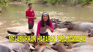 [FULL] MELABUHKAN HARAPAN PADA MAMALIA | JEJAK PETUALANG (27/03/22)