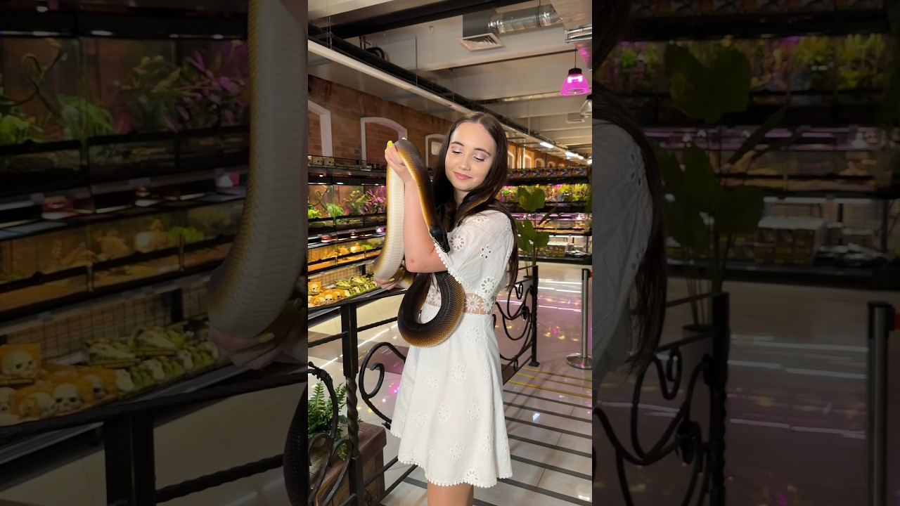 Сколько лет Софье? И какой длины этот питон? #питон #белогубыйпитон #python #змея