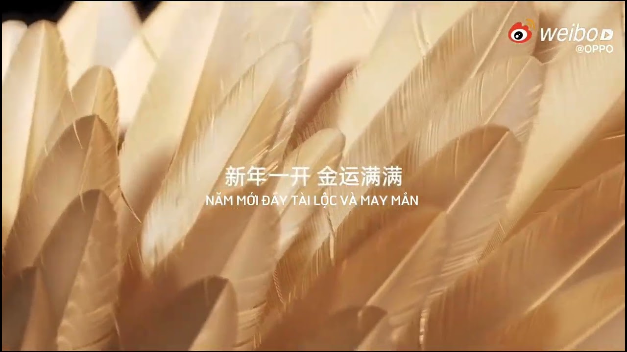 video Oppo Find N 2021