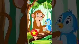 A heartwarming kids’ story about Momo the monkey,