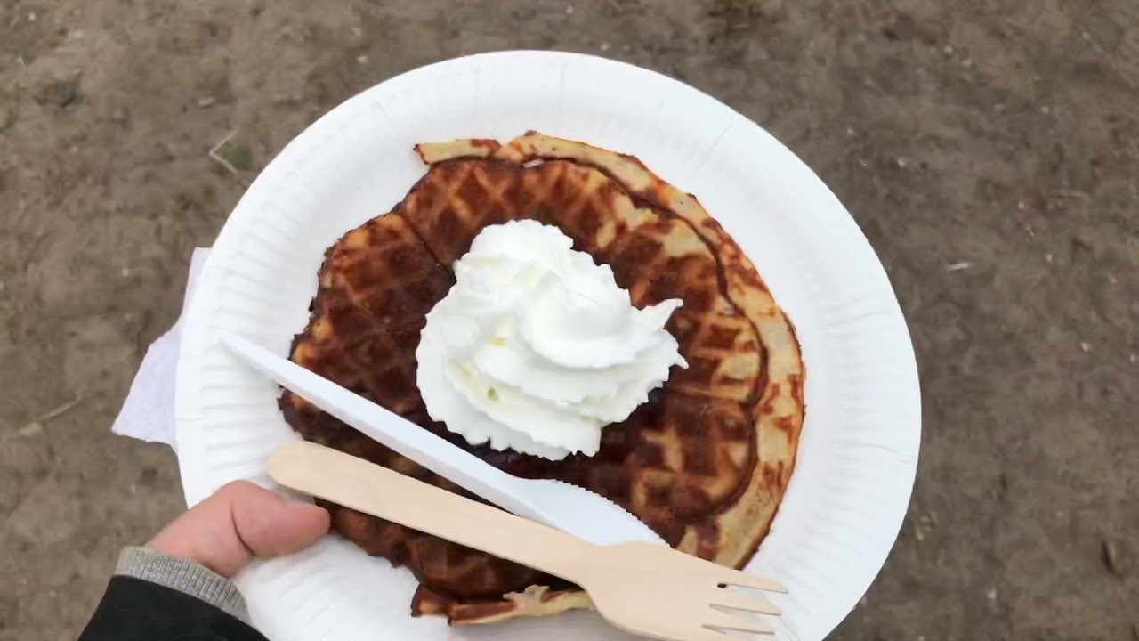 Kouluratsastus kilpailut my day 🤩