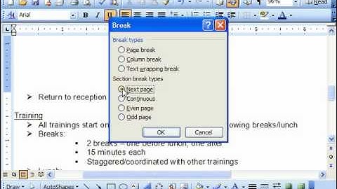 Word 2003 Tutorial Inserting Page & Section Breaks Microsoft Training Lesson 7.2