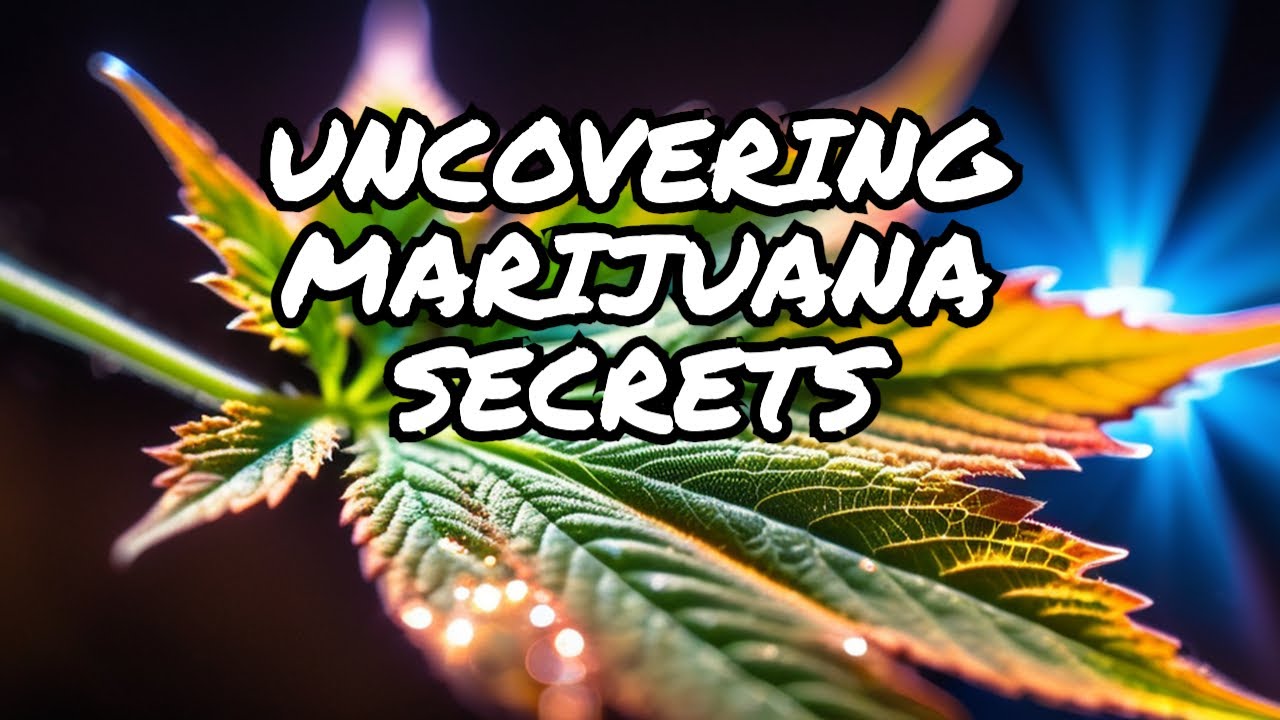 Unveiling the Mysteries: A Deep Dive into Marijuana