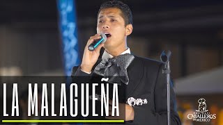 Mariachi Caballeros de Mexico | La Malagueña