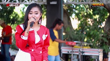 NURMA KDI - Ngelabur Langit - Om Adella EMC live bancar tuban