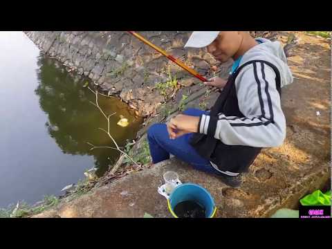 Lokasi Mancing Liar Di Jakarta Timur Dan Sekitarnya Site Title