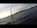 Трудовая рыбалка Ловля щуки в сильный ветер