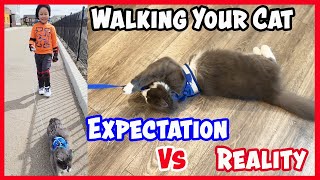 Walking A Cat On Leash Expectation Vs Reality by Tiny Millionaire 413 views 2 years ago 45 seconds