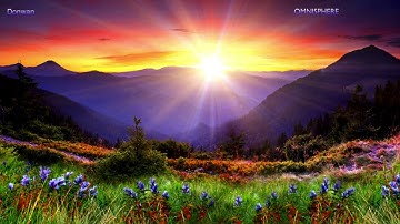 Omnisphere / Logic X