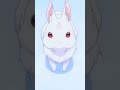 The Great Rabbit Rezero Isekai Rezero Edit Natsukisubaru Subaru Tiktokanime Edit Re Zero 