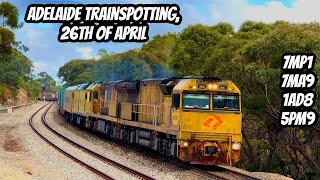 Some Trains in Adelaide on the 26th of April, 2026