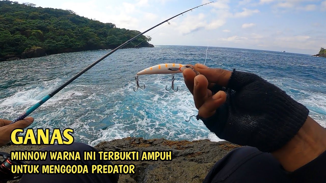 Umpan minnow sinking 9 gram berhasil menggoda predator bluefine trevally | casting pinggir laut