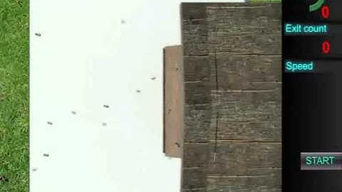 VideoTrack: Bee Behavior Analysis