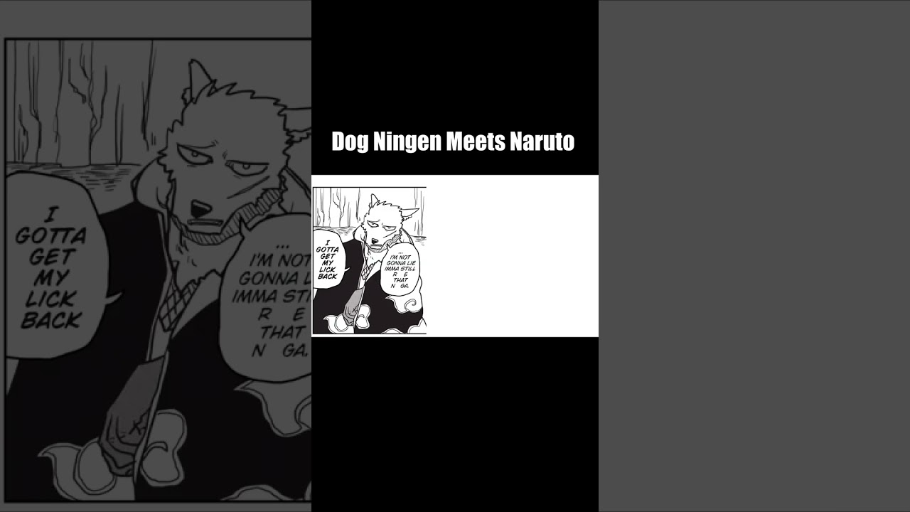 Собака Нинген встречает Наруто