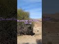 اجمل اغاني قبيلي من منطقة الأوراس The Most Beautiful Kabyle Songs From The Aures Region Music اجمل اغاني قبيلي من منطقة الأوراس The Most Beautiful Kabyle Songs From The Aures Region Music