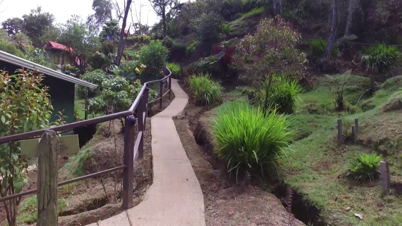 PARAISO QUETZAL LODGE by Costa Rica Alive