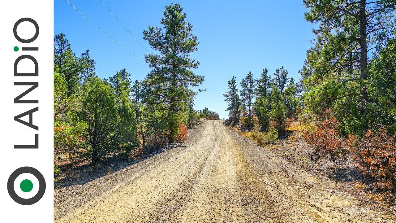 SOLD by LANDiO Land in Colorado 10 Acre Wooded Mountain Homesite