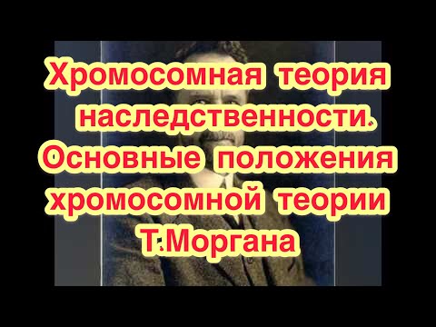 Хромосомная теория наследственности. Основные положения хромосомной теории Т.Моргана