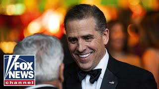 Biden family investigation was 'marginalized' by DOJ officials: Whistleblower