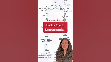 How to remember the Krebs Cycle 👆🏽💯📚