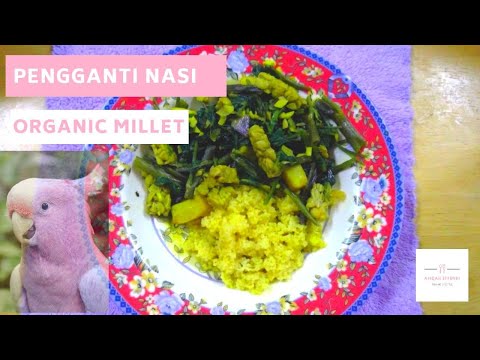 Cara Masak Organic Millet | Cute & Easy | PSO Friendly